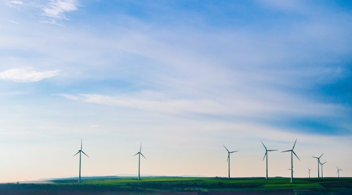 PensionBee seeks customer support for fossil-fuel-free pension